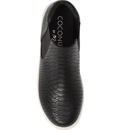 Shop Cecelia New York Coconuts By Matisse Harlan Slip-on Sneaker In Black Snake Print