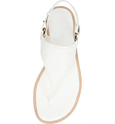 Shop Vince Pharis Sandal In Ivory