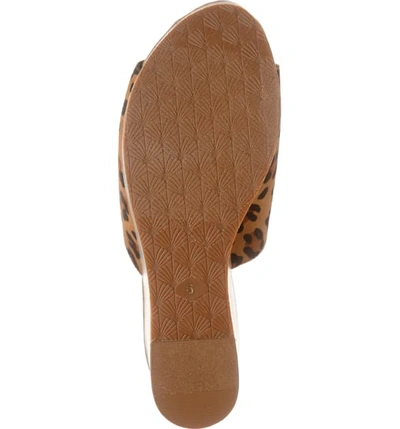 Shop Ariat Layla Wedge Slide Sandal In Leopard Suede