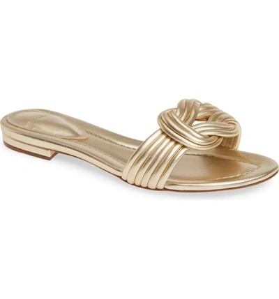 Shop Alexandre Birman Vicky Knot Flat Sandal In Gold