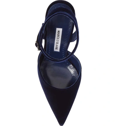 Shop Manolo Blahnik Tidra Multi Strap Velvet Sandal In Giulia Blue