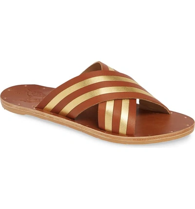 Shop Beek Palila Crisscross Slide Sandal In Gold/ Tan/ Tan