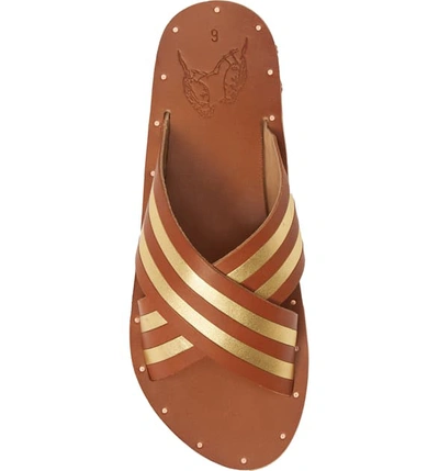 Shop Beek Palila Crisscross Slide Sandal In Gold/ Tan/ Tan