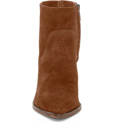 Shop Vince Camuto Cava Perforated Pointy Toe Boot In Brown Moss Suede