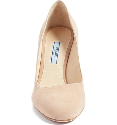 Shop Prada Round Toe Pump In Nude Suede