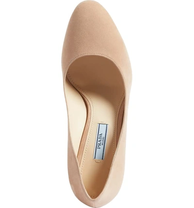 Shop Prada Round Toe Pump In Nude Suede