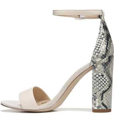 Shop Sam Edelman Yaro Ankle Strap Sandal In Modern Ivory/ Black/ White