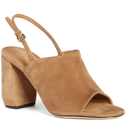Shop Prada Shield Slingback Sandal In Cammello Suede