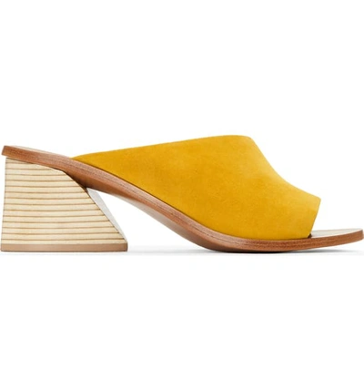 Shop Mercedes Castillo Izar Slide Sandal In Ginger