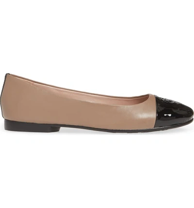 Shop Taryn Rose Collection Adrianna Cap Toe Skimmer Flat In Tiramisu Leather