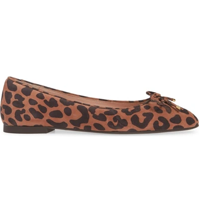 Shop Stuart Weitzman Gabby Bow Flat In Camel Cheetah Sue