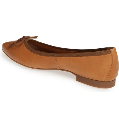 Shop Paul Green Andre Pointy Toe Ballet Flat In Cuoio Leather