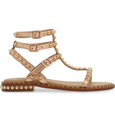Shop Ash Play Studded Sandal In Rame