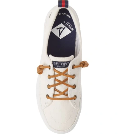 Shop Sperry Crest Vibe Slip-on Platform Sneaker In White Canvas