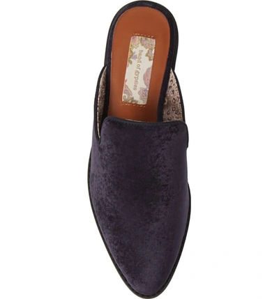 Shop Band Of Gypsies Skipper Velvet Mule In Midnight