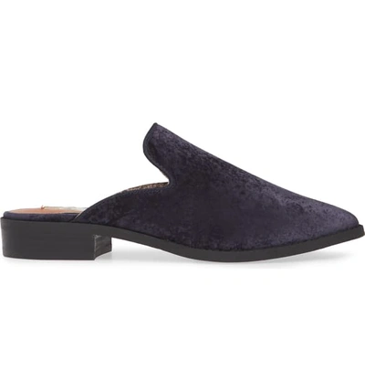 Shop Band Of Gypsies Skipper Velvet Mule In Midnight