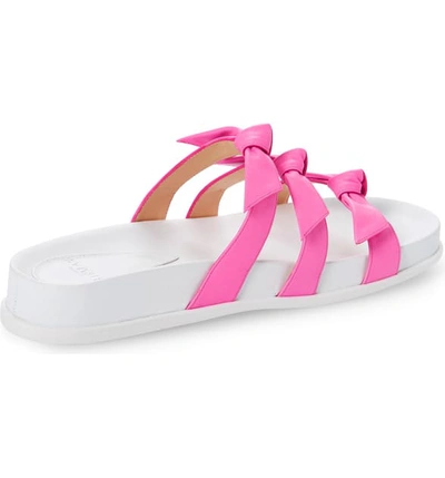 Shop Alexandre Birman Lolita Bow Slide Sandal In Pink Fluo