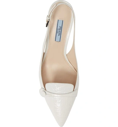 Shop Prada Croc Embossed Slingback Pump In White Croc