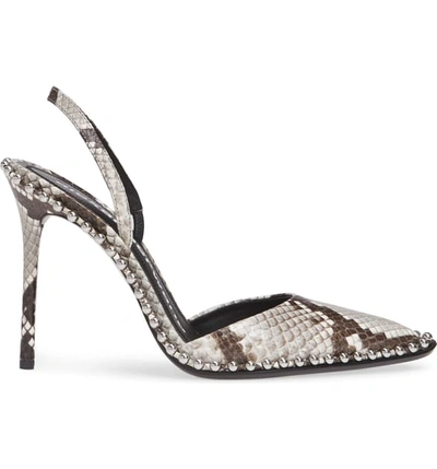 Shop Alexander Wang Rina Snake Embossed Chain Slingback Pump In Snake Print