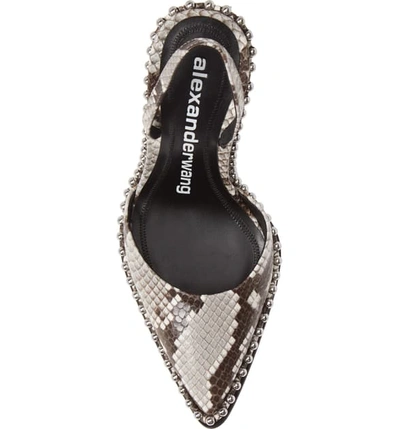 Shop Alexander Wang Rina Snake Embossed Chain Slingback Pump In Snake Print