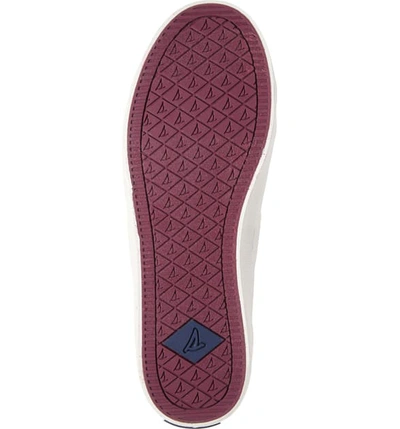 Shop Sperry Crest Vibe Sneaker In Berry Vintage Twill Fabric
