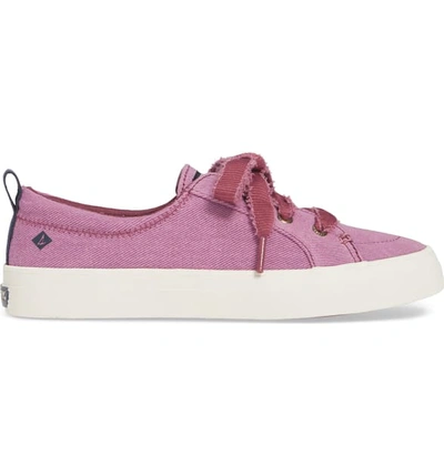 Shop Sperry Crest Vibe Sneaker In Berry Vintage Twill Fabric