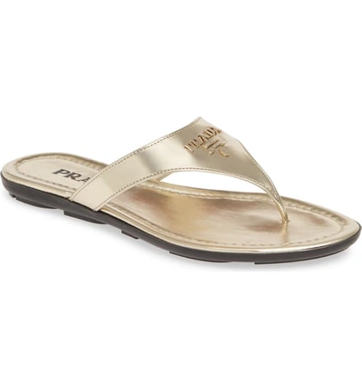 Shop Prada Logo Flip Flop In Pirite Leather