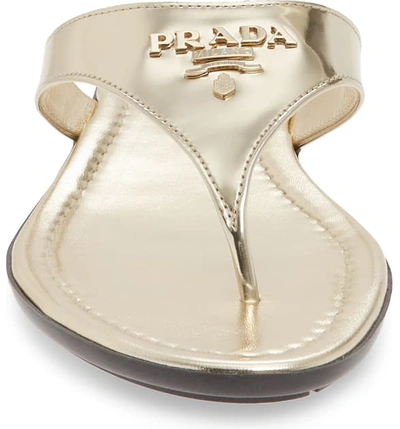 Shop Prada Logo Flip Flop In Pirite Leather