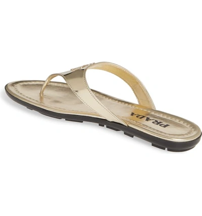 Shop Prada Logo Flip Flop In Pirite Leather