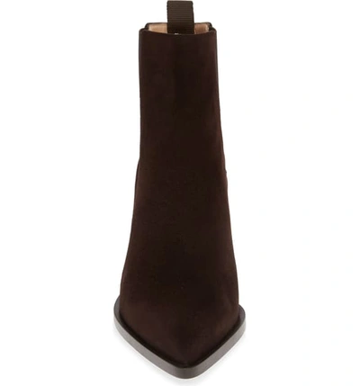 Shop Gianvito Rossi Pointy Toe Chelsea Boot In Brown Suede