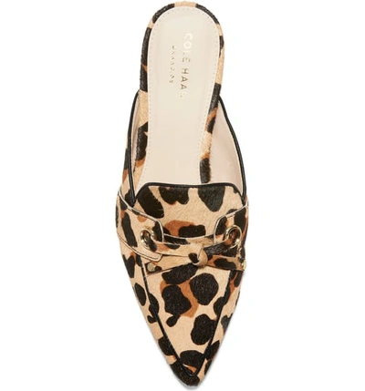 Shop Cole Haan Emily Genuine Calf Hair Mule In Animal Print Calf Hair