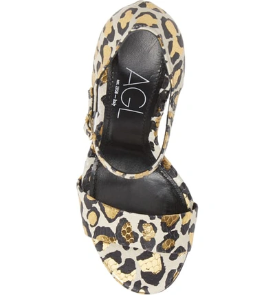 Shop Agl Attilio Giusti Leombruni Snake Embossed Leopard Print Sandal In Off White/ Gold Leopard