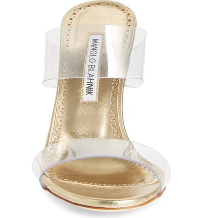 Shop Manolo Blahnik Scolto Transparent Strap Sandal In Mekong Gold