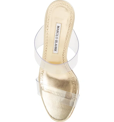 Shop Manolo Blahnik Scolto Transparent Strap Sandal In Mekong Gold