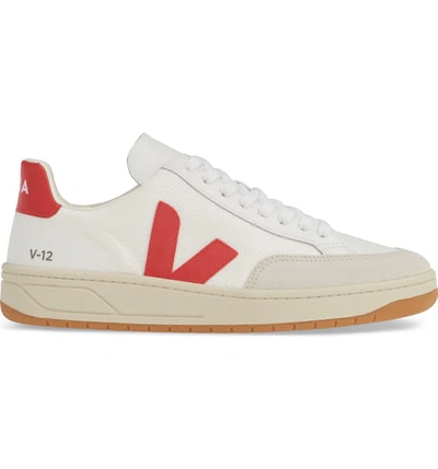Shop Veja V-12 Sneaker In White Pekin