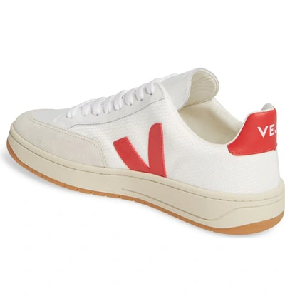 Shop Veja V-12 Sneaker In White Pekin