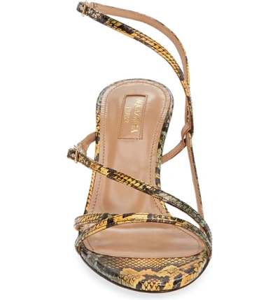 Shop Aquazzura Carolyne Genuine Snakeskin Sandal In Yellow Snake