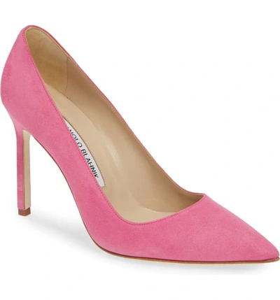 Shop Manolo Blahnik 'bb' Pointy Toe Pump In Bright Pink Suede