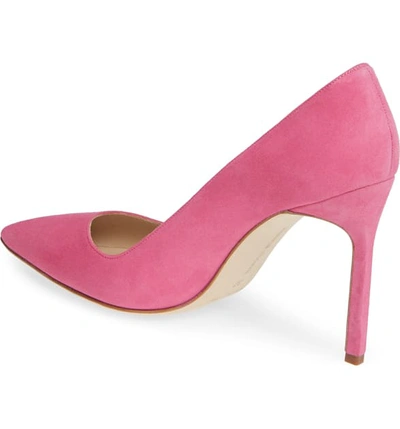 Shop Manolo Blahnik 'bb' Pointy Toe Pump In Bright Pink Suede