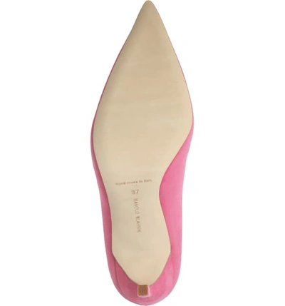 Shop Manolo Blahnik 'bb' Pointy Toe Pump In Bright Pink Suede