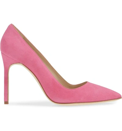 Shop Manolo Blahnik 'bb' Pointy Toe Pump In Bright Pink Suede