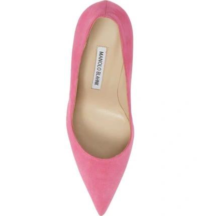 Shop Manolo Blahnik 'bb' Pointy Toe Pump In Bright Pink Suede
