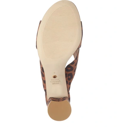 Shop Stuart Weitzman Galene Sandal In Cappuccino Cheetah Suede