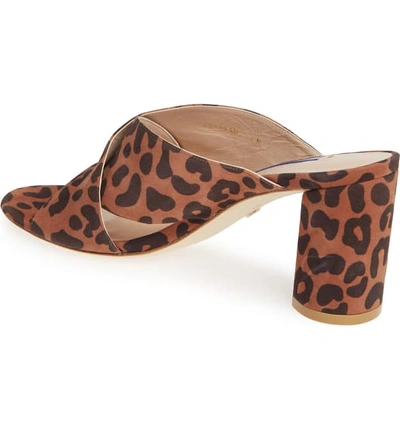 Shop Stuart Weitzman Galene Sandal In Cappuccino Cheetah Suede