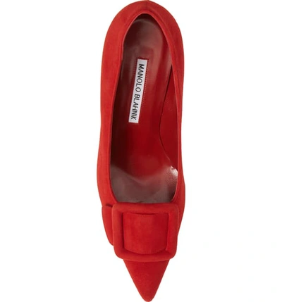 Shop Manolo Blahnik Maysale Buckle Pointed Toe Pump In Red Suede