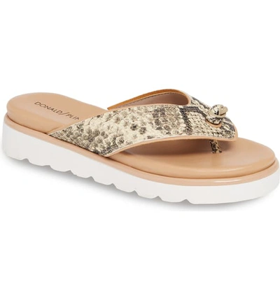 Shop Donald Pliner Leeanne Sandal In Natural Snake Print Leather