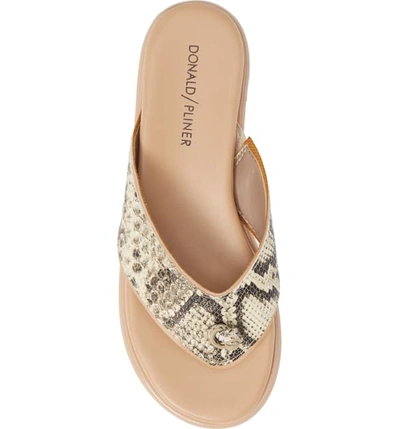 Shop Donald Pliner Leeanne Sandal In Natural Snake Print Leather