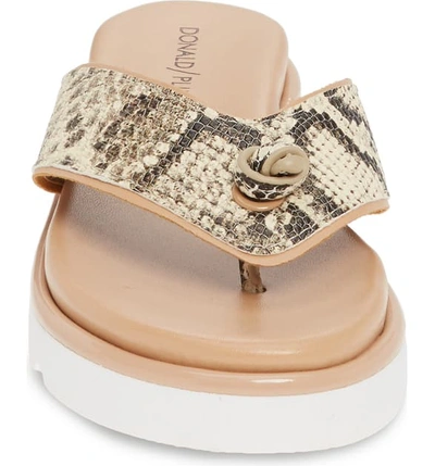 Shop Donald Pliner Leeanne Sandal In Natural Snake Print Leather