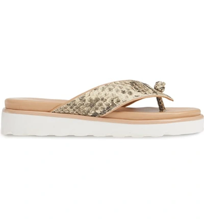 Shop Donald Pliner Leeanne Sandal In Natural Snake Print Leather