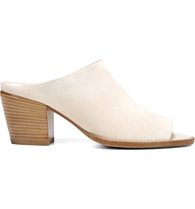 Shop Vince Vedra Mule Sandal In Sandstone Suede